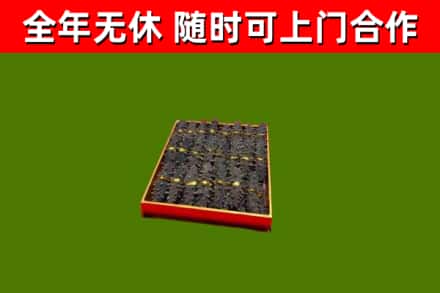 右江烟酒回收海参.jpg